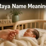 Raya Name Meaning